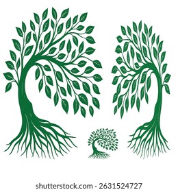 A beautifully arranged circular pattern of green leaves, creating a refined botanical aesthetic. Perfect for luxurious nature-themed designs, eco-friendly concepts, and organic elegance.