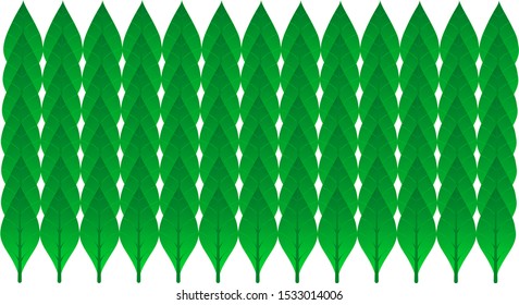 
Beautifully arranged leaf vector background