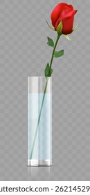 Beautifully captured red rose in clear vase filled with water, symbolizing love and beauty, perfect for decorative arrangements. Vector illustration.
