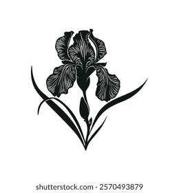 A beautifully crafted Iris flower design with intricate details and graceful aesthetics. Ideal for enhancing creative, artistic, and branding visuals.