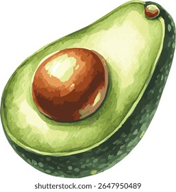 A beautifully crafted watercolor vector illustration of a fresh avocado
