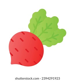 Beautifully designed icon of beetroot, healthy root vegetable