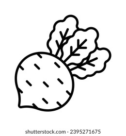 Beautifully designed icon of beetroot, healthy root vegetable