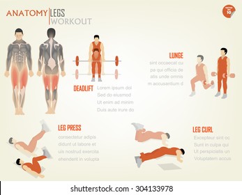 Beautifully designed infographic of abdominal & legs workout consisting of deadlift, lunge, leg press and leg curl