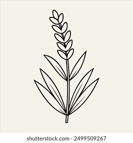 A beautifully designed vector illustration of a lavender flower. This detailed artwork showcases the vibrant purple hues of the lavender petals, accompanied by lush green leaves.