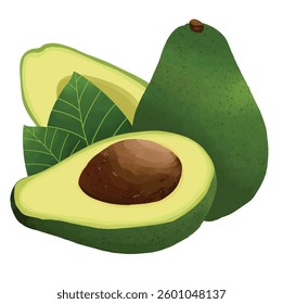 A beautifully detailed avocado with smooth green skin, a sliced half revealing its creamy yellow-green flesh, and a rich brown seed. Perfect for healthy food or nutrition-themed designs.