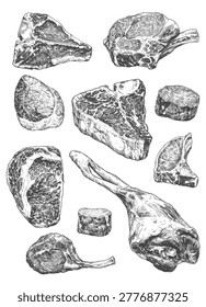 A beautifully detailed collection of raw beef steaks, tomahawk cuts, and pork chops in a classic engraving style. Perfect for BBQ festival branding, butcher shop menus, and gourmet meat packaging.