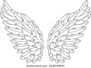 A beautifully detailed depiction of wings, showcasing their graceful structure and symbolic elegance. Ideal for fantasy, spiritual, and nature-themed designs, 
