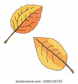 A beautifully detailed hand drawn leaf, ideal for marketing campaigns during the fall season. This image highlights the richness of autumn colors, perfect for promotions related to seasonal products, 