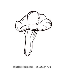 A beautifully detailed illustration showcasing the remarkable Chanterelle Mushroom. Hand drawn food design for vegetable store. Vector illustration isolated on a white background.