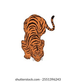 Beautifully Detailed Tiger Animal Illustration in Flat Vector Style, Perfect for Posters, Websites, and More on White Background