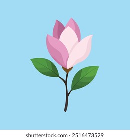 A beautifully detailed vector illustration of a Bigleaf Magnolia flower, perfect for digital and print designs.