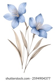 A beautifully detailed watercolor illustration featuring two blue flowers with soft beige leaves on a white background. The elegant botanical artwork has a gentle, minimalist aesthetic