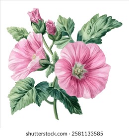 A beautifully detailed watercolor painting of pink hollyhock flowers in full bloom, featuring lush green leaves and intricate botanical details in a realistic style