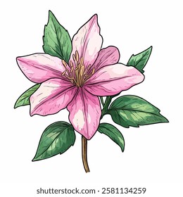 A beautifully hand-drawn botanical illustration featuring a pink flower with intricate petals and lush green leaves, created in a realistic artistic style