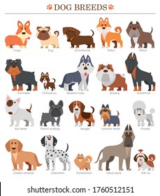 A beautifully illustrated collection of various dog breeds in a cute and modern cartoon style.