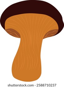 A beautifully illustrated distinct mushroom in a digital vector format. A rich orange chanterelle. Perfect for t-shirt designs, stickers, scrapbooking, branding, nature-themed projects, and more.