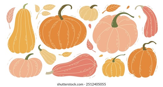 A beautifully vibrant and diverse collection of various pumpkins and gourds, ideal for enchanting fall decor