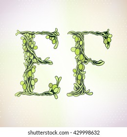 Beautifully weave olive tree branch with fruits and leaves - Floral alphabet - letters set - vector illustration. Letter E and letter F. Olives letter.