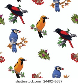 Beautify and Colorful Bird Design 