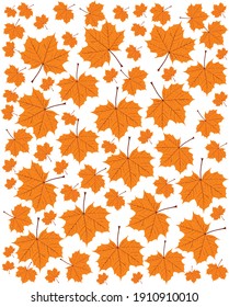 The beauty of autumn is created by the collection of fallen leaves. The fallen leaves will form into a natural work that is very beautiful and amazing. 