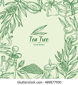 Beauty background with essential oil, soap and tea tree. Cosmetics and medical plant. hand drawn