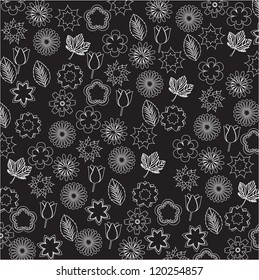 beauty background of white flowers vector illustration