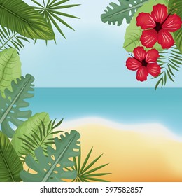 beauty beach hibiscus palm island