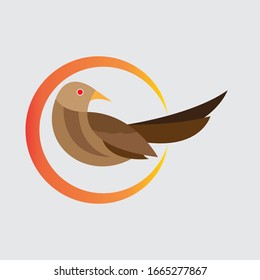 Beauty bird logo design illustratio