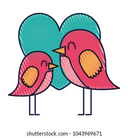 beauty birds lovely heart love decoration