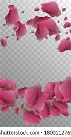 Beauty Bloom. Natural Illustration. Delicate Luxury Decor. Isolated Invitation. Beautiful Leaf. Spring Beauty Bloom. Soft Template. Romance Floral Card. Flower Pattern.