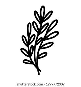 beauty branch curve leaf tree vector illustration icon design template with doodle hand drawn outline style
