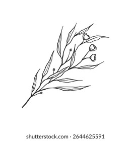 beauty branch line art illustration