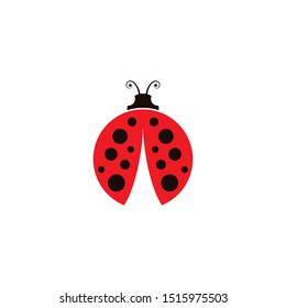 Beauty bug vector illustration icon design template