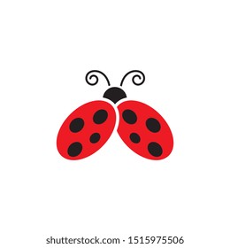 Beauty bug vector illustration icon design template