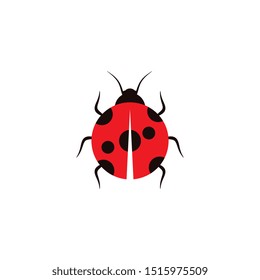 Beauty bug vector illustration icon design template