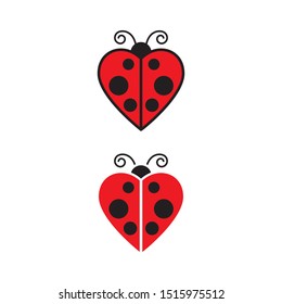 Beauty bug vector illustration icon design template