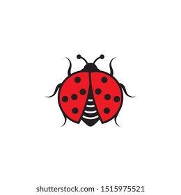 Beauty bug vector illustration icon design template