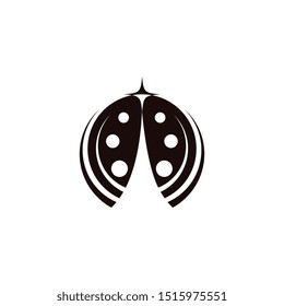 Beauty bug vector illustration icon design template