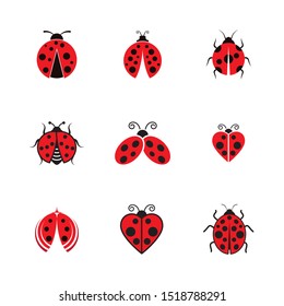 Beauty bug vector illustration icon design template