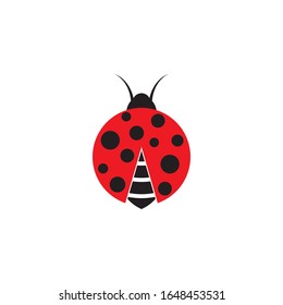Beauty bug vector illustration icon design template