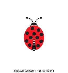 Beauty bug vector illustration icon design template