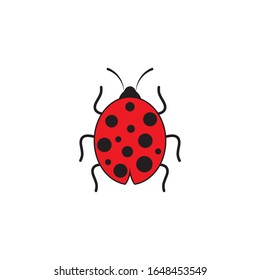 Beauty bug vector illustration icon design template