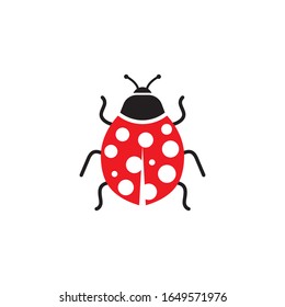 Beauty bug vector illustration icon design template