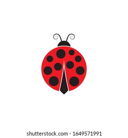 Beauty bug vector illustration icon design template