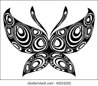  beauty butterfly