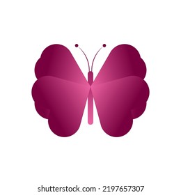 Beauty butterfly Logo design vector illustration