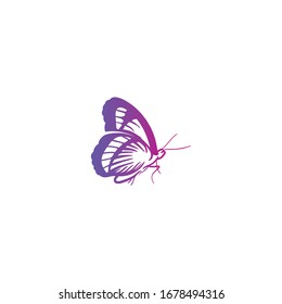 Beauty Butterfly logo Ideas. Inspiration logo design. Template Vector Illustration. Isolated On White Background