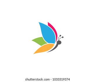 Design der Beauty-Butterfly-Vektorillustration-Vorlage