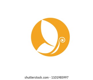 Beauty Butterfly Logo Template Vector icon design